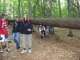 Dobročský prales - 9.9.2009 - Zdolávame prekážky