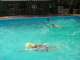 Plavecký výcvik 2006 - Preteky 2